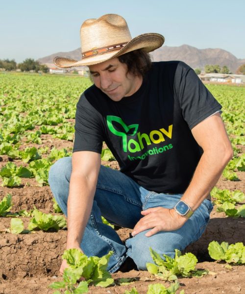 Avi Examining a Lettuce plant yac_097_(2)